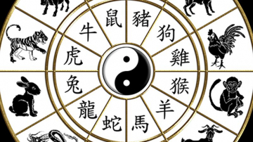 Qué animal eres según el horóscopo chino