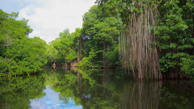 Día Nacional de la Conservación: Datos y cifras