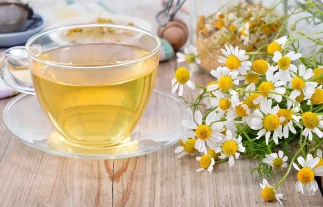 Bebidas para adelgazar - Manzanilla