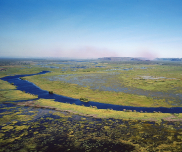 ¿Qué son los humedales? - Tipos de humedales