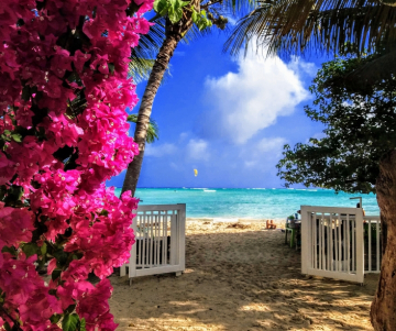 Qué hacer en mi viaje por San Andrés