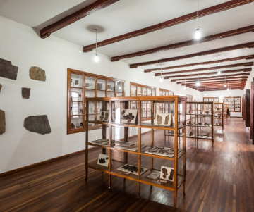 ¿Qué museos visitar en Santiago de Chile?