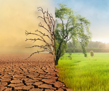 Cambio climático en América del Sur