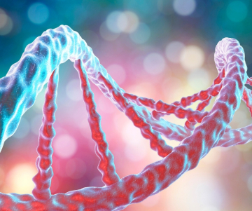 Síndrome de Treacher Collins: Una condición facial desafiante