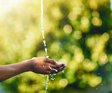 Importancia de ahorra agua