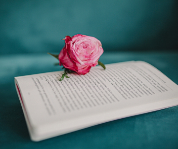 Festival internacional de poesía en Medellín: Un mágico encuentro cultural