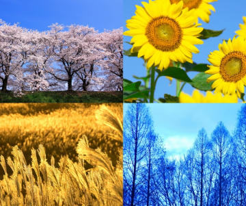 ¿Cuáles son las estaciones del año?