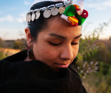 Pueblos indígenas de Chile