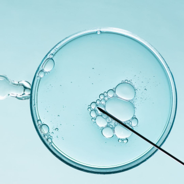 ¿Qué es y cómo funciona la fecundación in vitro?