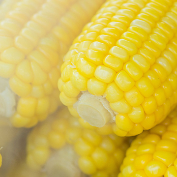 Receta completa de atole mexicano