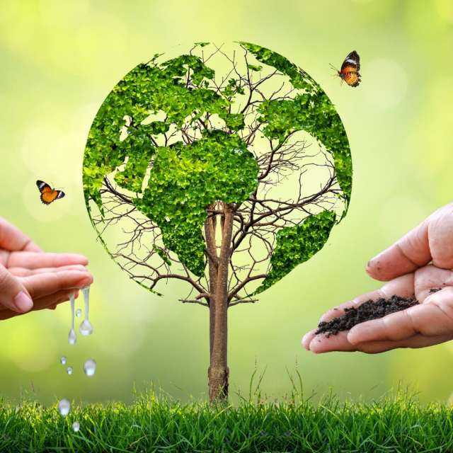 El Día Mundial del Medio Ambiente