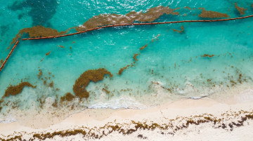 Temporada de sargazo 2026 en las playas de Quintana Roo y el pronóstico para los meses de mayo y junio en México