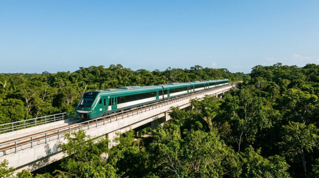 Un moderno tren de color verde y blanco del Tren Maya circulando por un viaducto elevado rodeado de densa selva tropical bajo un cielo despejado