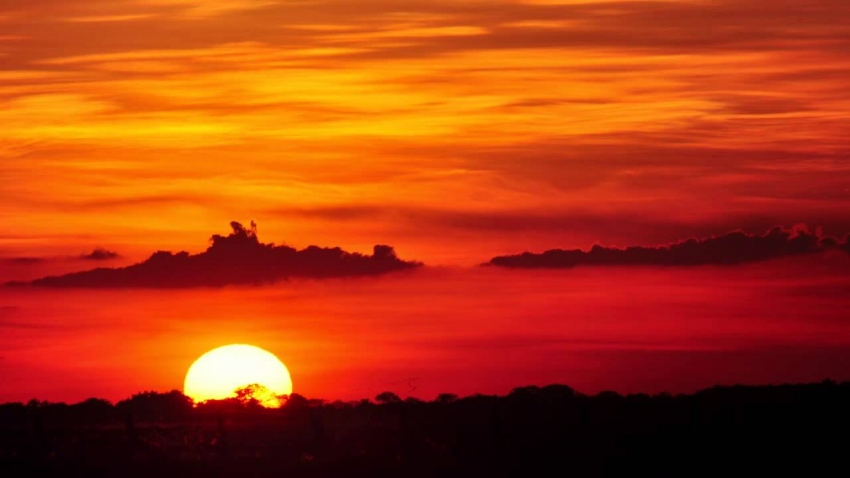 Festival Internacional Folclórico y Turístico del Llano