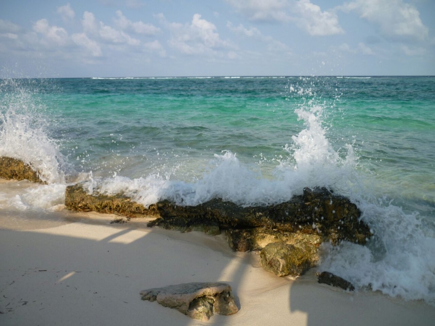 Festival Internacional del Triatlon