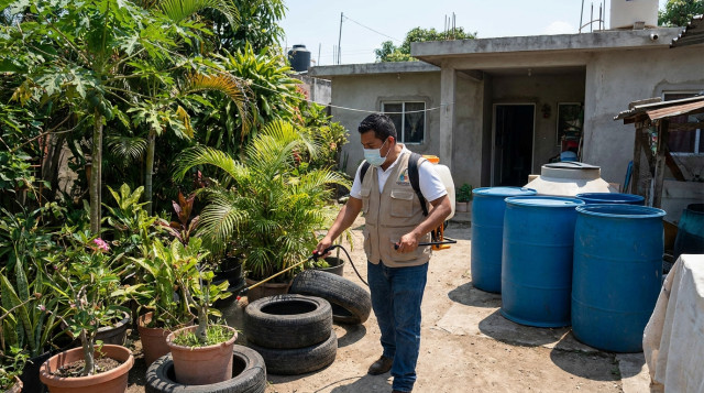 Alerta por dengue en México: Estados con más casos registrados y medidas de prevención de la Secretaría de Salud
